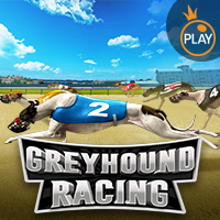 Greyhound Racing