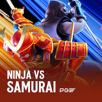 Ninja vs Samurai