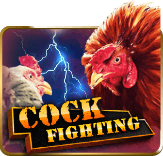 COCKFIGHT PHI